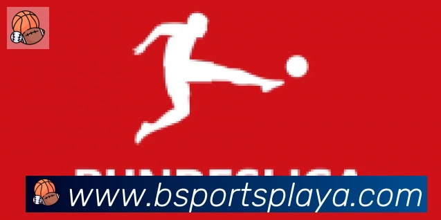 BSPORTS合作伙伴